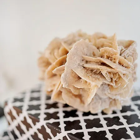 Апартаменти First Prinzessin Luise *