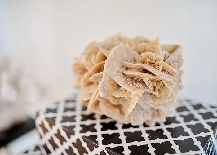 First Prinzessin Luise Apartamento